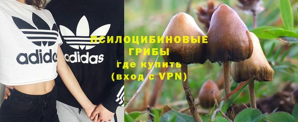 экстази Липки