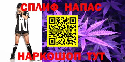 apvp Дубна
