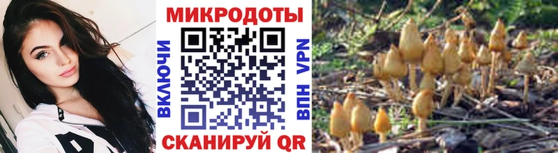 MEGA зеркало  Краснодар  Галлюциногенные грибы Psilocybe  наркотики 