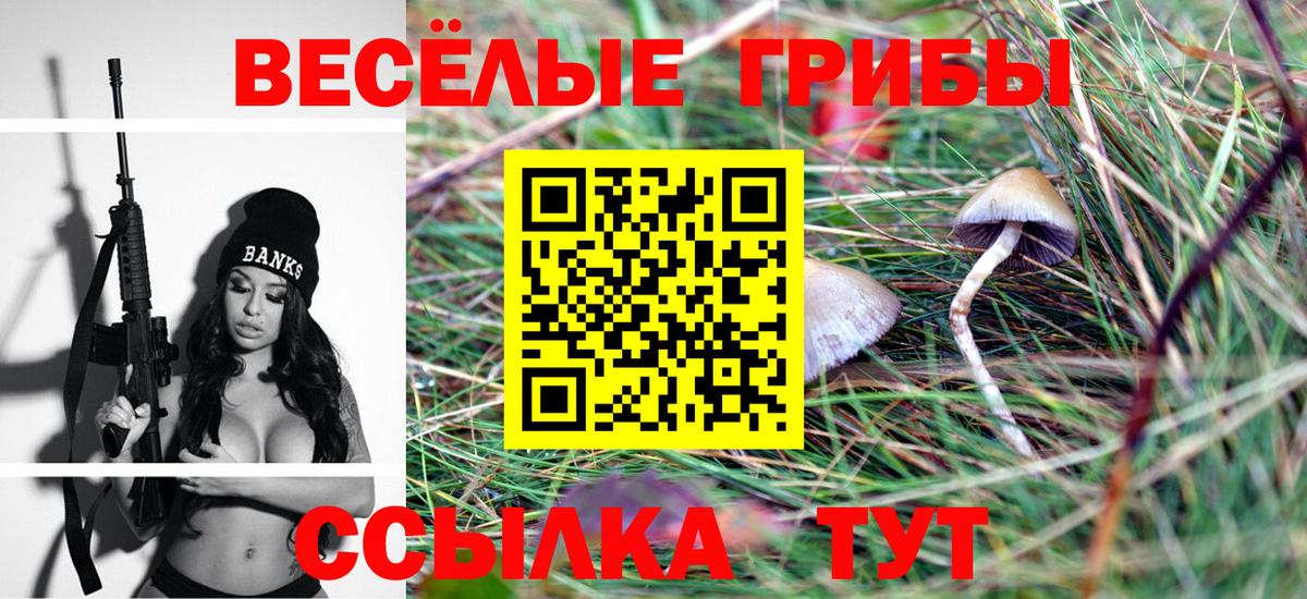 купить   Краснодар  Псилоцибиновые грибы Psilocybe 