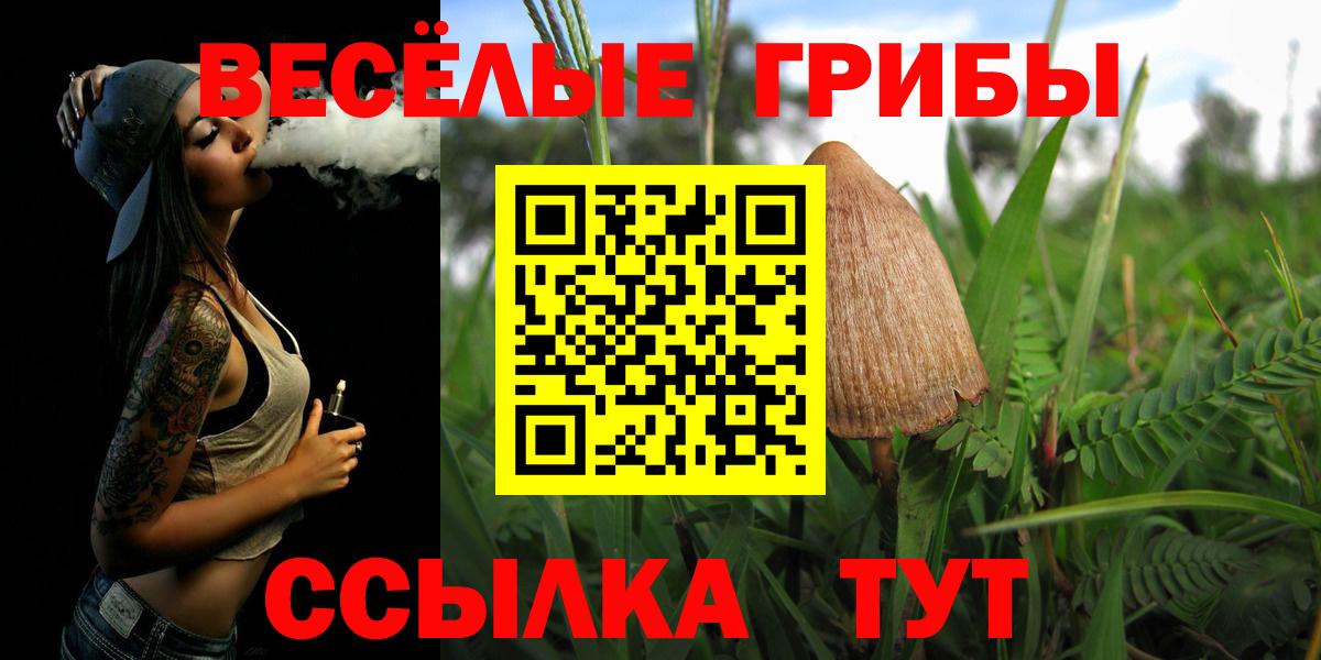 Галлюциногенные грибы Cubensis Краснодар