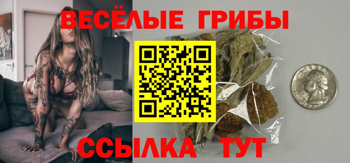 Псилоцибиновые грибы мицелий  Вход с VPN  Краснодар  Псилоцибиновые грибы Magic Shrooms 